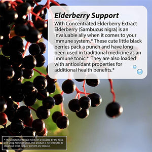 Irwin Naturals Global Wellness Immuno-Shield™ with Elderberry, 60 Liquid Softgels