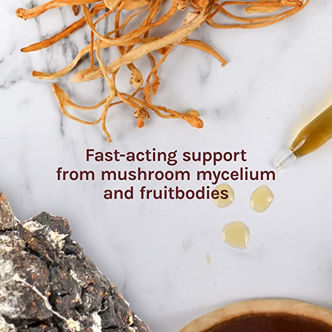 Host Defense Breathe* Extract - Immune &amp; Respiratory Support Mushroom Liquid Supplement - Herbal Lung Health Supplement with Chaga, Reishi &amp; Cordyceps - 1 fl oz (30 Servings)