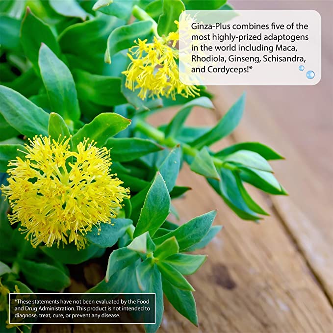 Irwin Naturals Ginza-Plus Maca & Rhodiola 75ct.