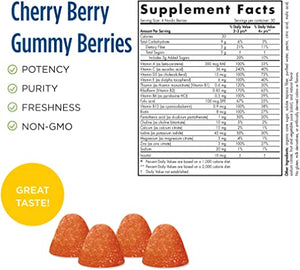 Nordic Naturals Nordic Berries™ Multivitamin Gummies for Adults & Kids Cherry Berry, 120 Gummy