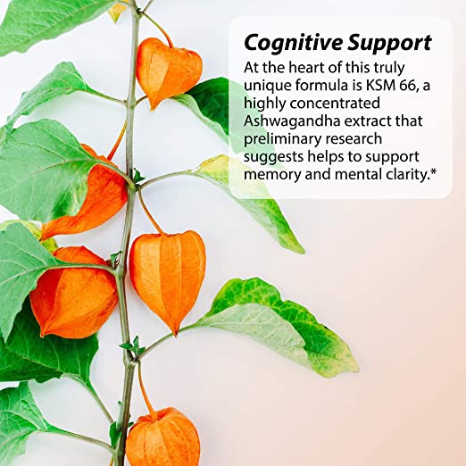 Irwin Naturals Mental Clarity Information Retention - 60 Liquid Soft-Gels - Helps Increase Attention to Detail &amp; Retain and Recall Information Faster - 30 Total Servings