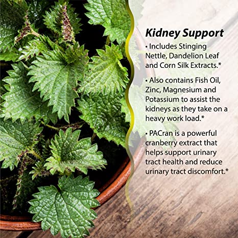 Irwin Naturals 2-In-1 Kidney & Liver Super Cleanse™, 60 Liquid Softgels