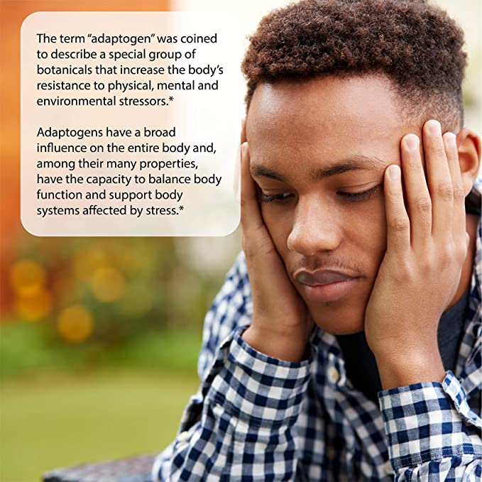 Irwin Naturals Ginza-Plus Maca & Rhodiola 75ct.