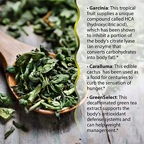 Irwin Naturals Triple-Diet Fat Reduction Max Accelerator - Supports Healthy Weight Management - 72 Liquid Soft-Gels