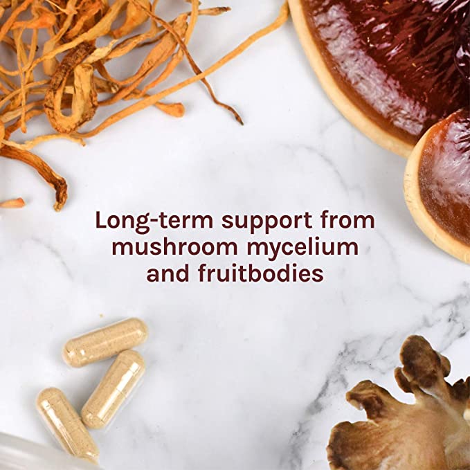 Host Defense MyCommunity Capsules - 17 Species Blend Mushroom Supplement for Immune Support - Herbal Aid with Lion&#39;s Mane, Reishi, Chaga, Cordyceps, Turkey Tail &amp; More - 30 Capsules (15 Servings)