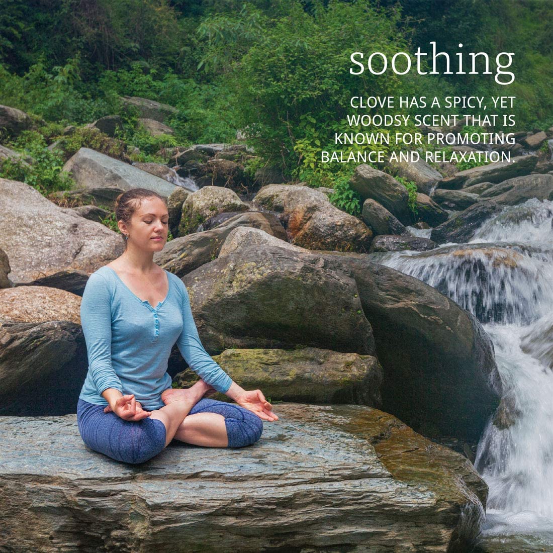 NOW Foods Essential Oils Clove, 2 fl oz