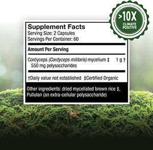 Host Defense Mushrooms Organic Cordyceps Energy Support, 120 Vegetarian Capsules