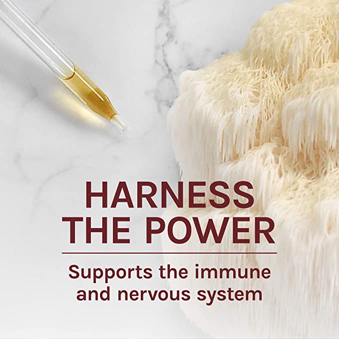 Host Defense Mushrooms Lion&#39;s Mane Extract - Lion&#39;s Mane Liquid Supplement for Brain Health - Mushroom Support for Focus &amp; Memory Function - Immune &amp; Nervous System Support - 1 fl oz (30 Servings)