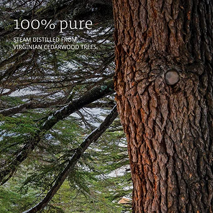 NOW Foods Essential Oils Cedarwood, 1 fl oz