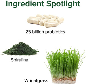 Vibrant Health, Green Vibrance, Plant-Based Superfood Powder, Vegan Friendly, 15 Servings