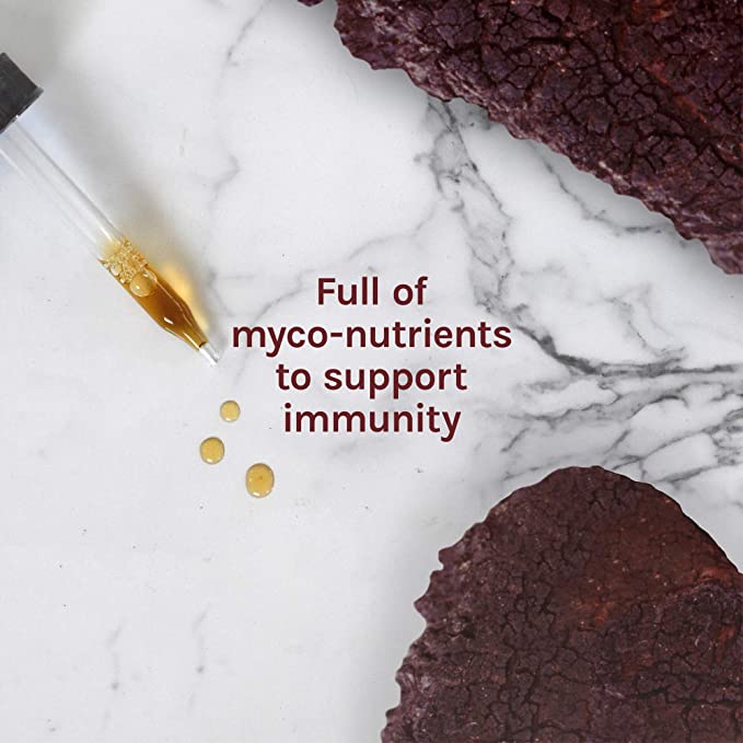 Host Defense Chaga Extract - Immune System Support Supplement - Chaga Mushroom for Antioxidant Activity Support - Liquid Dietary Mushroom Supplement - 1 fl oz (30 Servings)