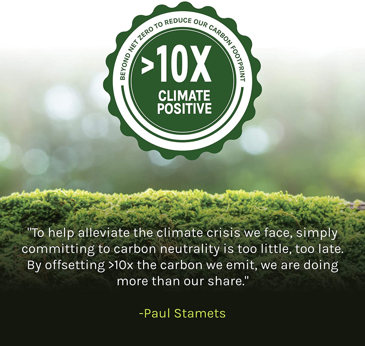 Host Defense - MycoBotanicals Brain Energy Support Powder - 3.5 oz.