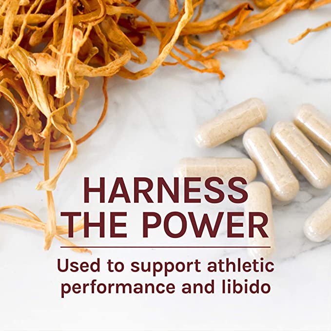 Host Defense Cordyceps Capsules - Immune &amp; Energy Support Supplement - Kidney Health Supplement with Cordyceps - Fitness Support Supplement to Aid Oxygen Uptake - 60 Capsules