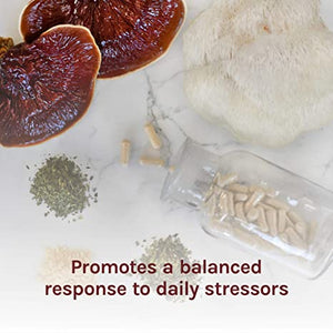 Host Defense Myco Botanicals® Stress Decompress™, 60 Vegetarian Capsules