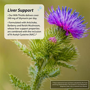 Irwin Naturals 2-In-1 Kidney & Liver Super Cleanse™, 60 Liquid Softgels