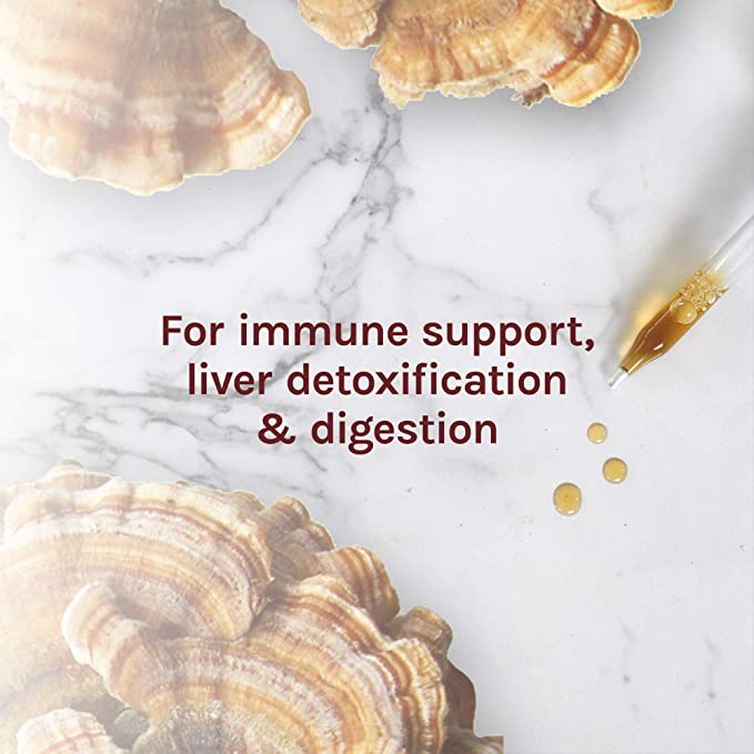 Host Defense Turkey Tail Extract - Digestive Health & Immune Response Support Supplement - Mushroom Supplement for Gastrointestinal & Gut Microbiome Support - 1 fl oz (30 Servings)*