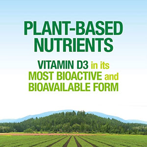 Natural Factors Whole Earth & Sea® Vegan Bioenhanced Vitamin D3, 5000 IU, 60 Vegetarian Capsules