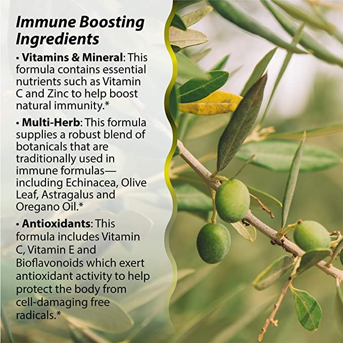 Irwin Naturals Immuno-Shield All Season Wellness - 100 Soft-Gels - Support Your Body’s Natural Defense System - 16 Servings