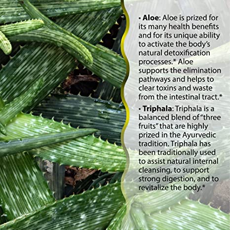 Irwin Naturals Aloe &amp; Triphala Active Cleanse + Probiotics - 60 Liquid Softgels - Natural Digestive Support - Gentle, Effective Detox + Elimination 2-Part Colon Care - Nourish + Balance