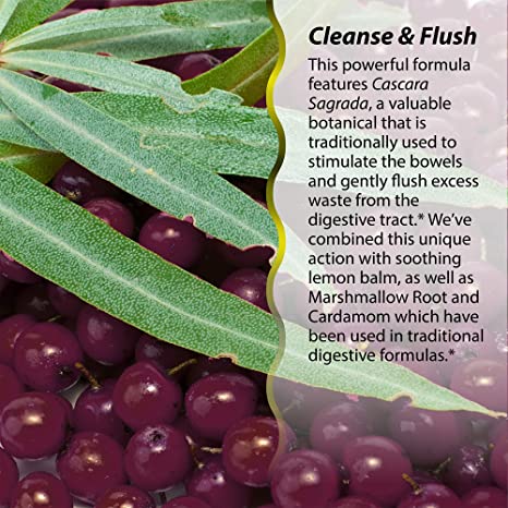 Irwin Naturals 2-in-1 Cleanse & Flush Weight Loss Support - 60 Liquid Soft-Gels - Flushes Digestive Tract & Reduces Bloating - 30 Total Servings