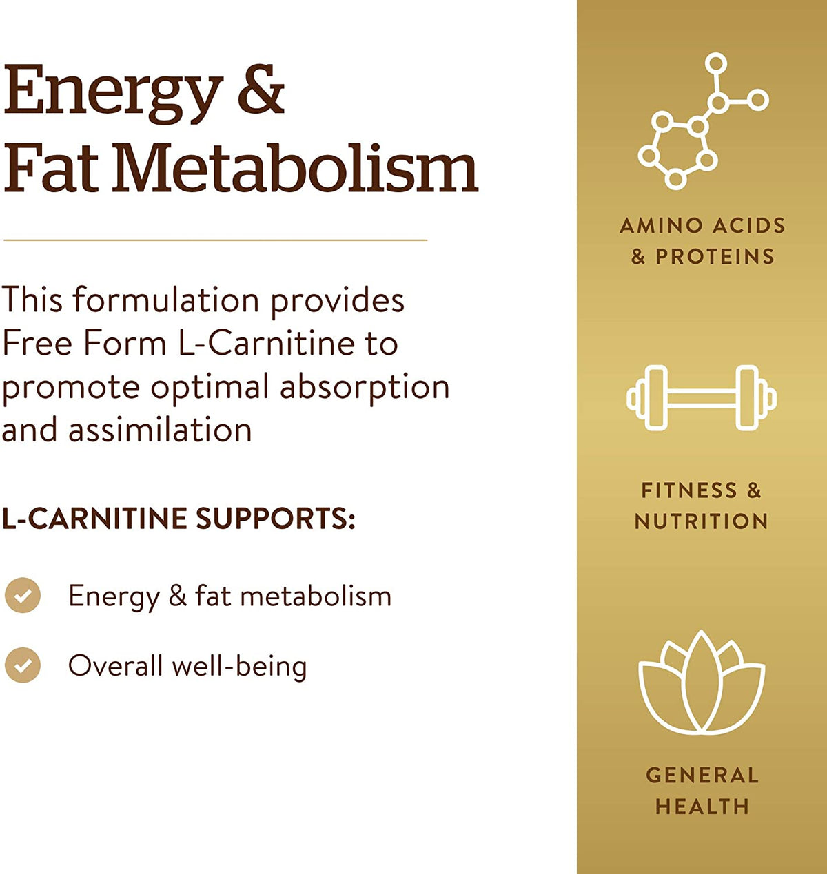 Solgar – L-Carnitine 500 mg, 30 Tablets