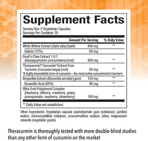 Natural Factors CurcuminRich® Joint Optimizer, 60 Vegetarian Capsules