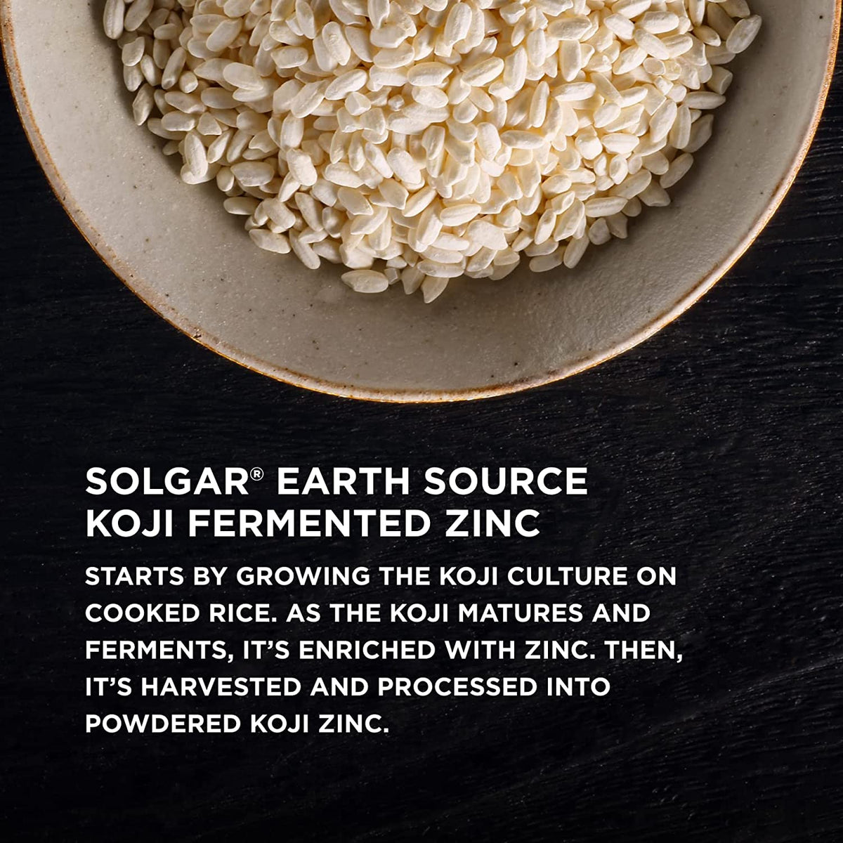 Solgar Earth Source Food Fermented Koji Zinc 25mg, 30 Vegetable Capsules - Higher-Absorption, Bioavailable Zinc for Immune &amp; Skin Health - Non-GMO, Vegan, Gluten Free, Dairy Free, Kosher - 30 Servings