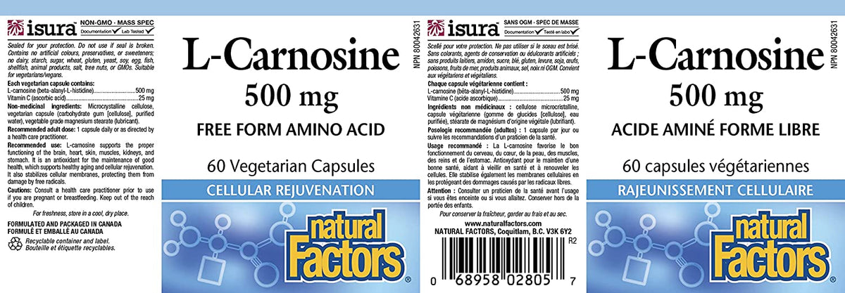 L-Carnosine 500 mg, Supports Healthy Aging, Muscle and Brain Function, Dietary Supplement, 60 capsules (60 servings)