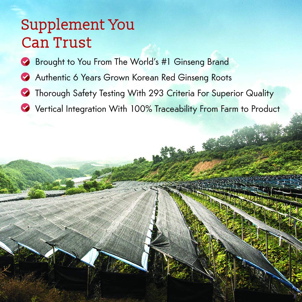 Energy Red Ginseng Extract – Genuine KGC Dietary Supplement with 6 Years Grown Korean Panax Ginseng Amplifies Concentration, Memory, Productivity, and Speeds Up Recovery – 10 Liquid Sticks