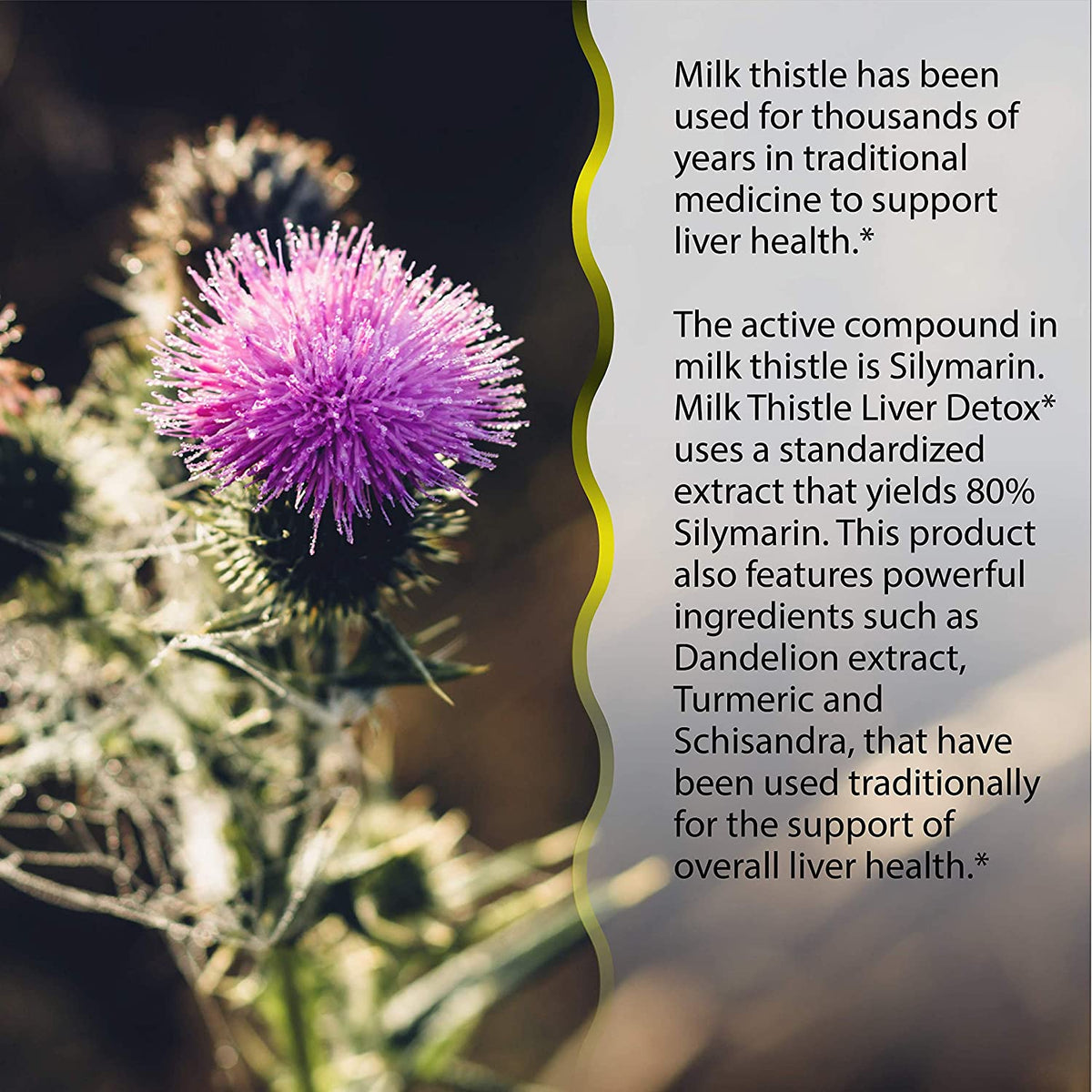 Irwin Naturals Milk Thistle Liver Detox - 60 Liquid Soft-Gels, Supports Liver Health with Dandelion, Artichoke, Turmeric & Green Beet Root - 30 Total Servings