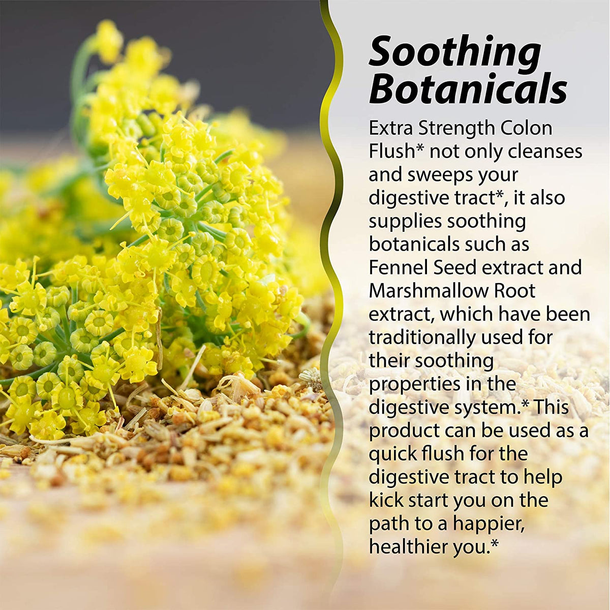 Irwin Naturals Extra Strength Colon Flush Quick & Powerful Digestive + Constipation Support Supplement with Psyllium, Acai, Triphala + Soothing Botanicals - 60 Liquid Softgels