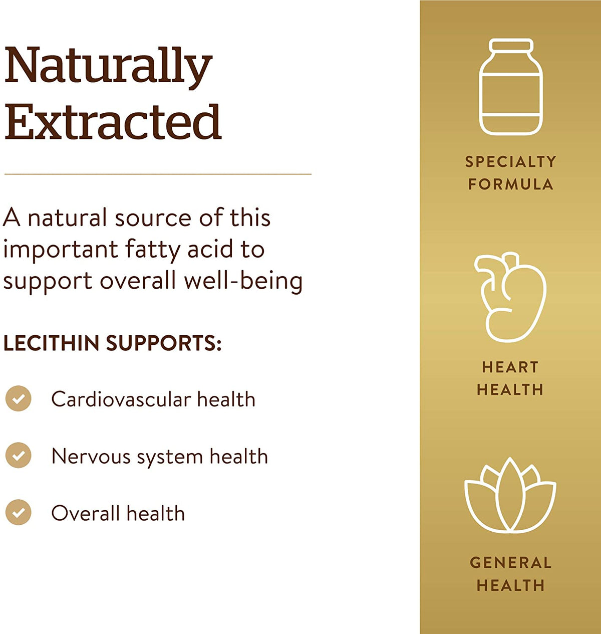 Solgar Lecithin Granules, 8 oz. - Supports Overall Health - Natural Soya Lecithin - Source of Choline &amp; Essential Fatty Acids - Vegan, Gluten Free, Dairy Free - 30 Servings