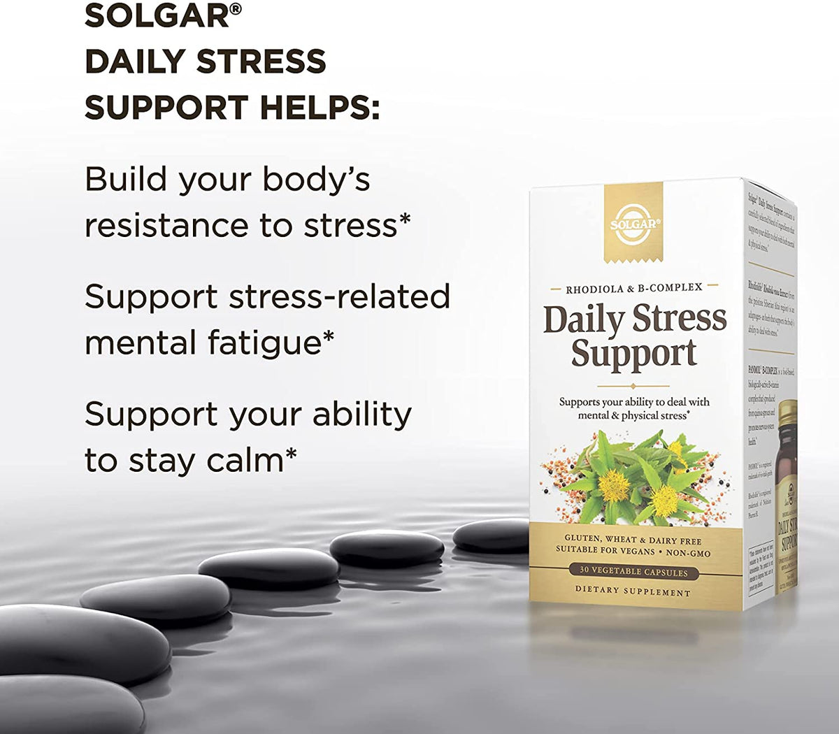 Solgar Daily Stress Support, 60 Vegetable Capsules – Build Resistance to Stress &amp; Mental Fatigue – Support Ability to Stay Calm – Contains Clinically-Studied Rhodiola &amp; B-Complex, Non-GMO, 60 servings