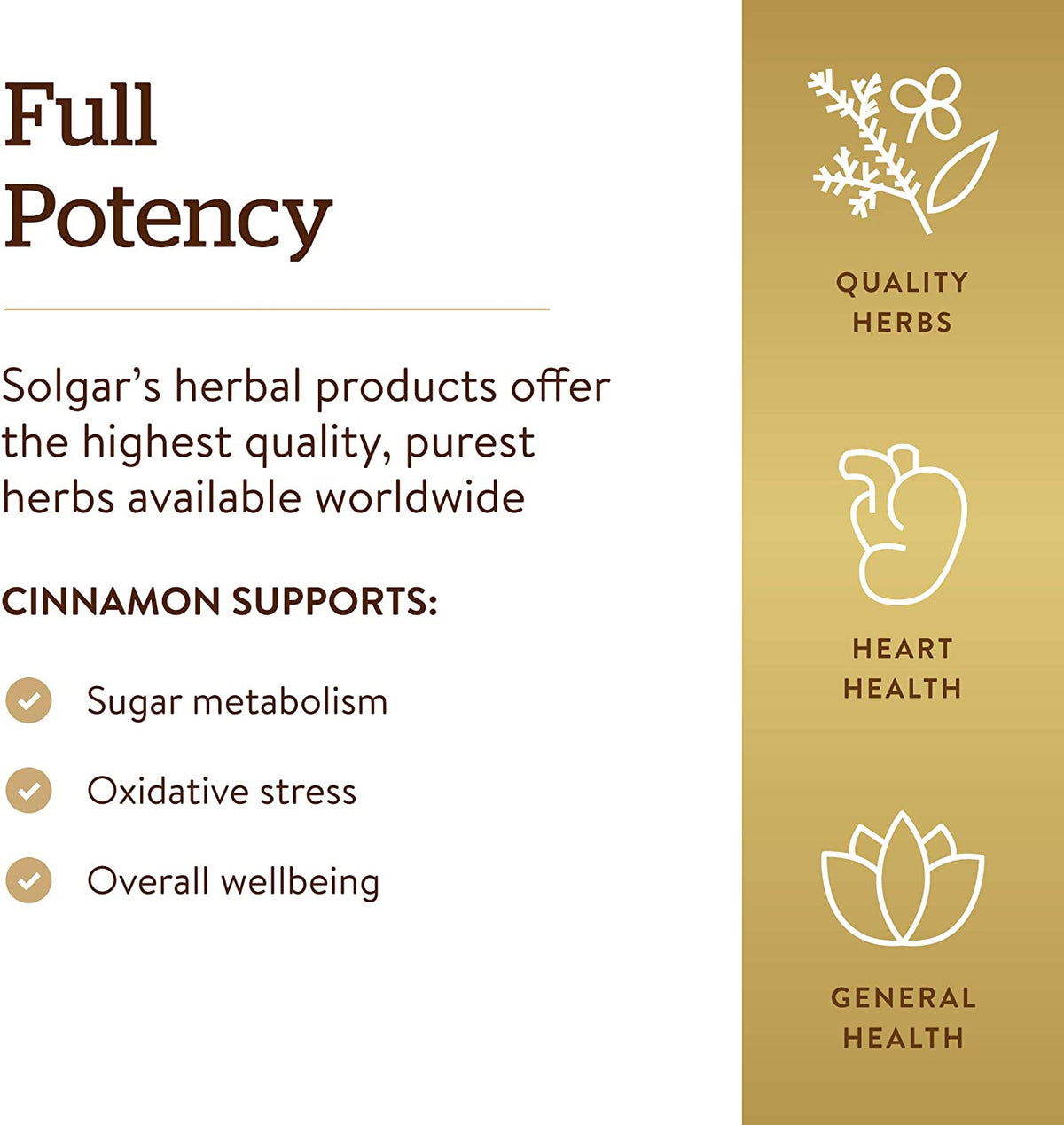 SOLGAR Cinnamon - 100 Vegetable Capsules - Full Potency (FP) - Non-GMO, Vegan, Gluten Free, Dairy Free, Kosher - 100 Servings