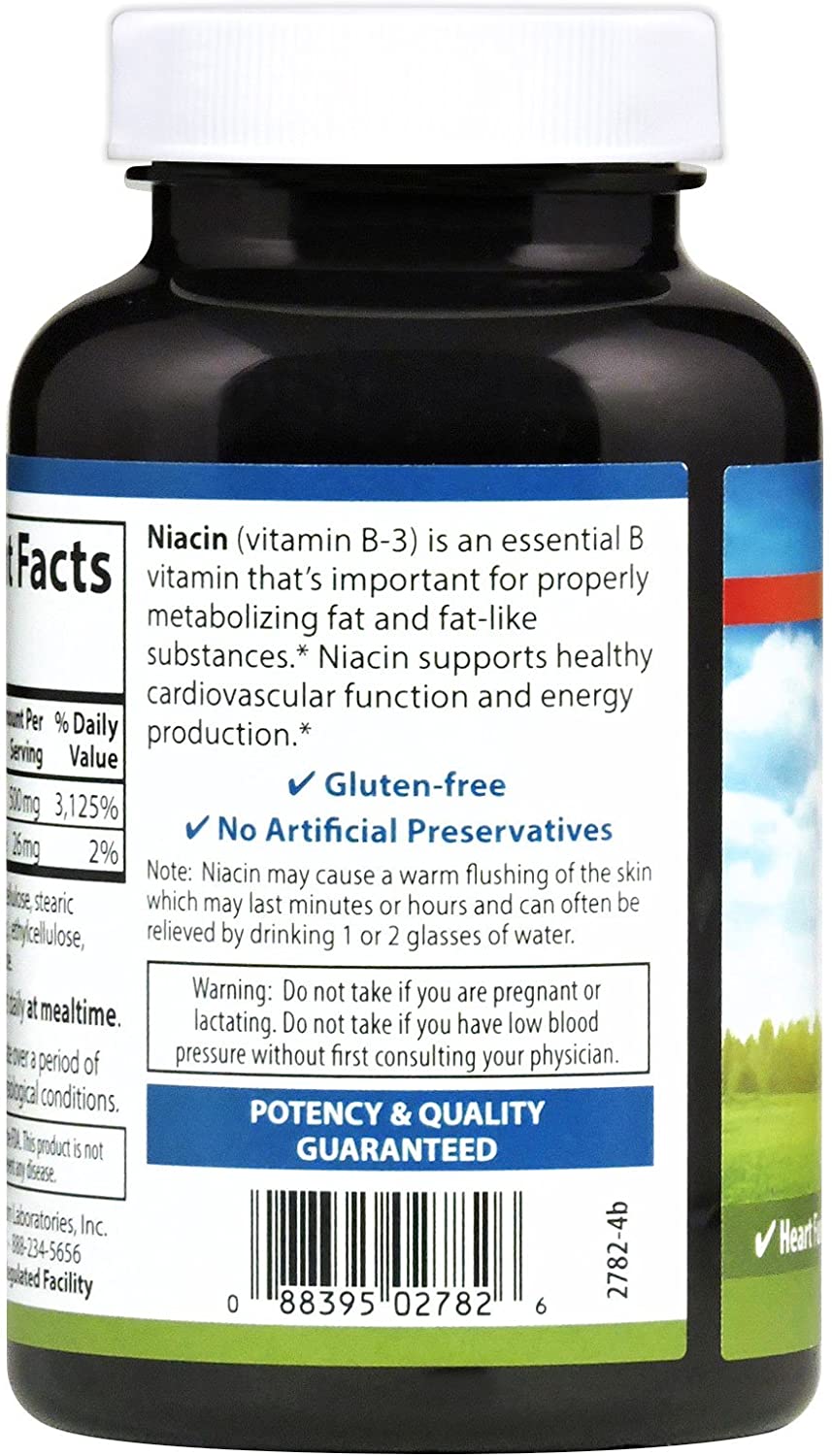 Carlson - Niacin, 500 mg, Cholesterol Metabolism, Energy Production, Heart Health, Nerve Function, 250 Tablets
