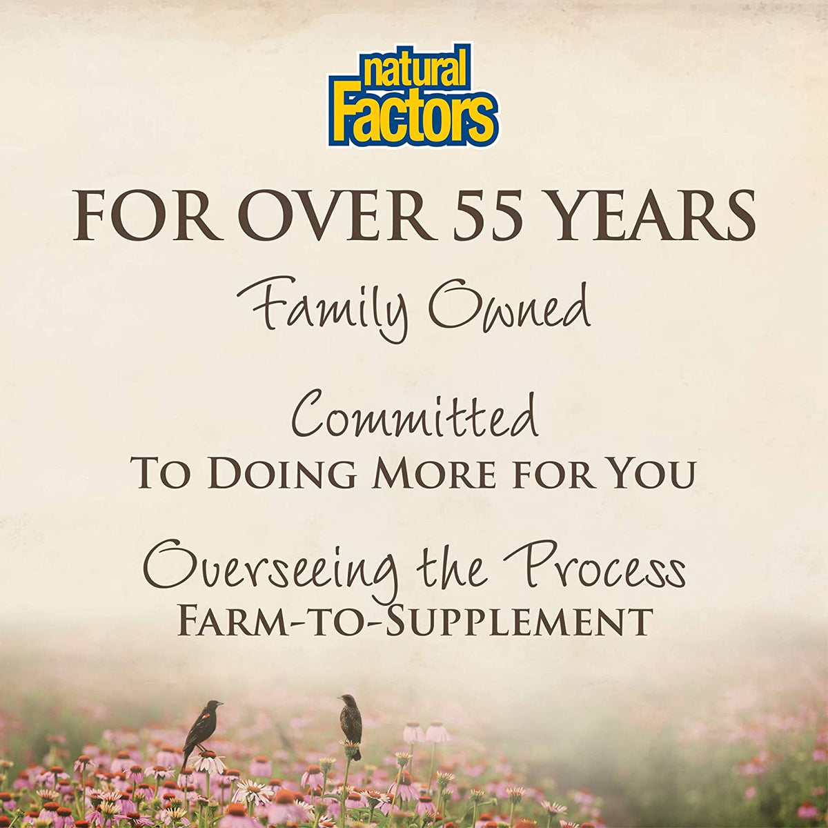 Stress-Relax 5-HTP 50 mg by Natural Factors, Promotes Emotional Well-Being, 60 Caplets