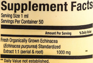 Natural Factors - Echinamide Echinacea Fresh Herb Extract, Immune System Support, 30 Servings (1.7 oz)