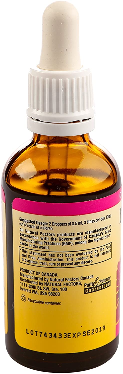 Natural Factors - Echinamide Echinacea Fresh Herb Extract, Immune System Support, 30 Servings (1.7 oz)