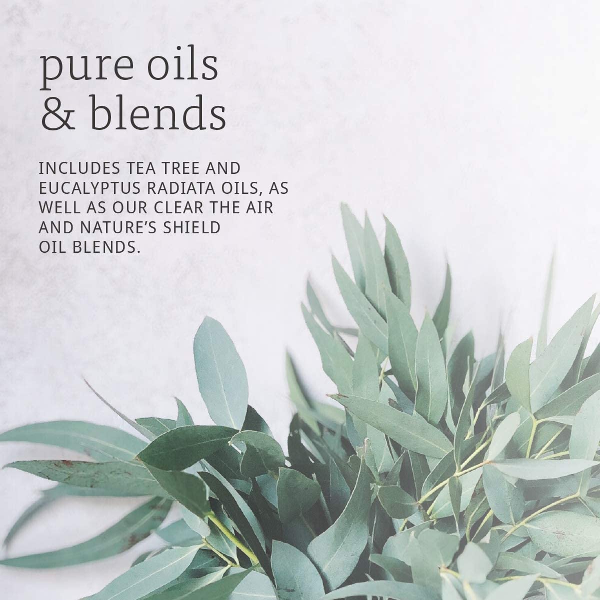 NOW Foods Seasonal Changes Balancing Essential Oils Kit, 1 Kit