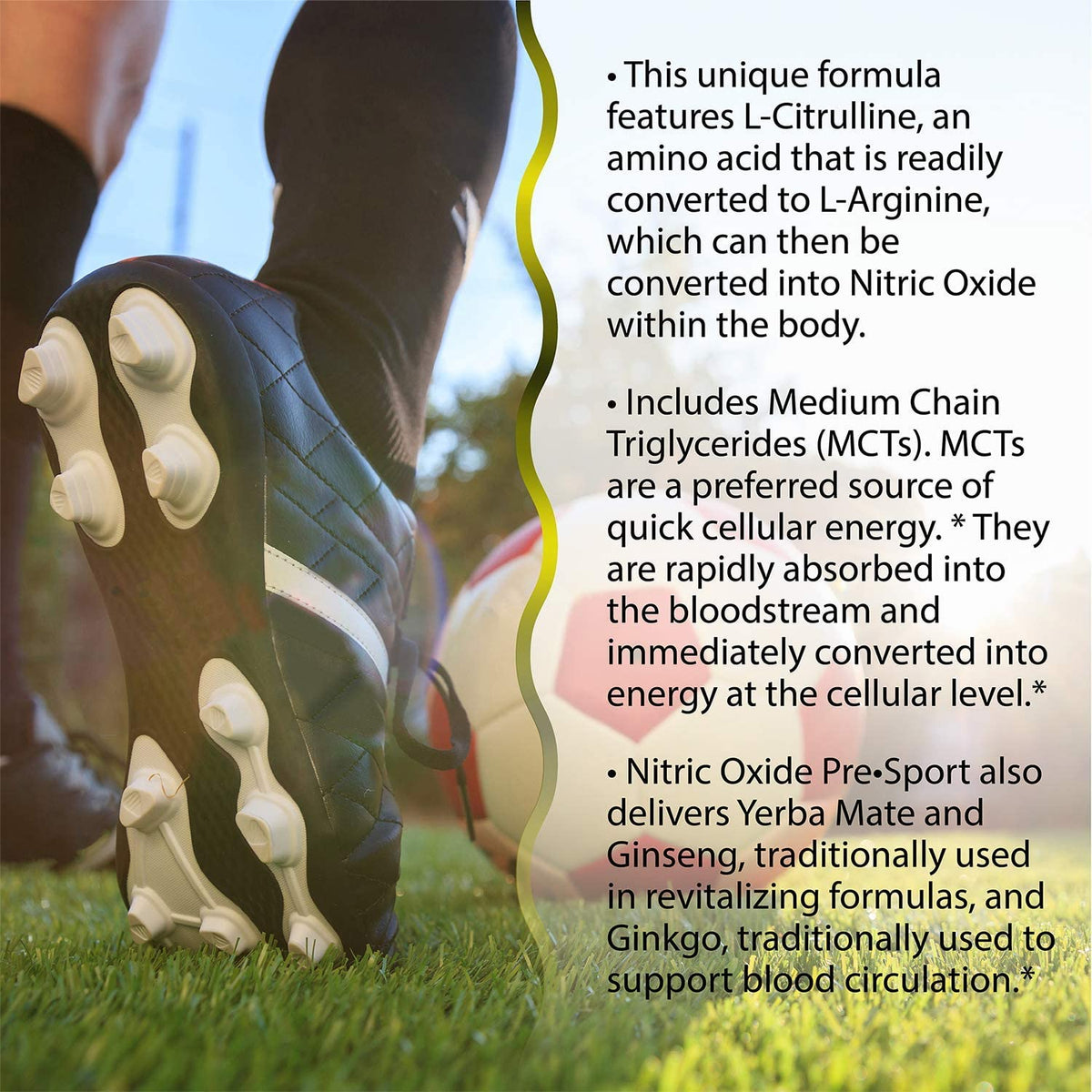 Irwin Naturals Nitric Oxide Pre-Sport® with L-Citrulline, 60 Liquid Softgels