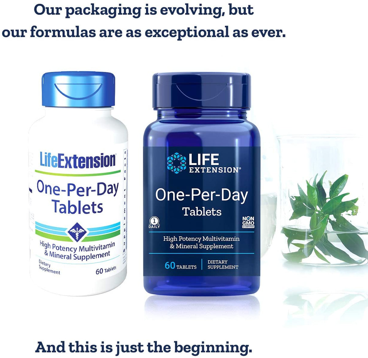 Life Extension One-Per-Day Multivitamin – Packed with Over 25 Vitamins, Minerals &amp; Plant Extracts, Quercetin, 5-MTHF Folate &amp; More – 1-Daily, Non-GMO, Gluten-Free – 60 Tablets