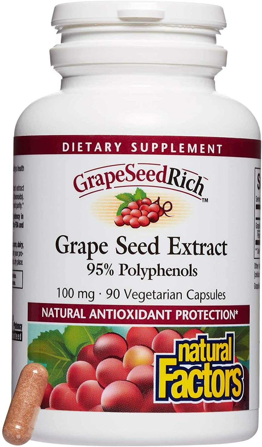 Natural Factors GrapeSeedRich™ Grape Seed Extract, 100 mg, 90 Vegetarian Capsules