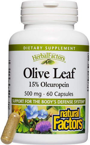 Natural Factors Olive Leaf Extract, 500 mg, 60 Capsules