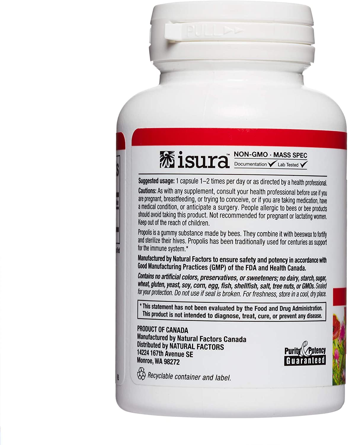 Natural Factors, Bee Propolis Extract 500 mg, Supports a Healthy Immune System, 90 capsules (90 servings)