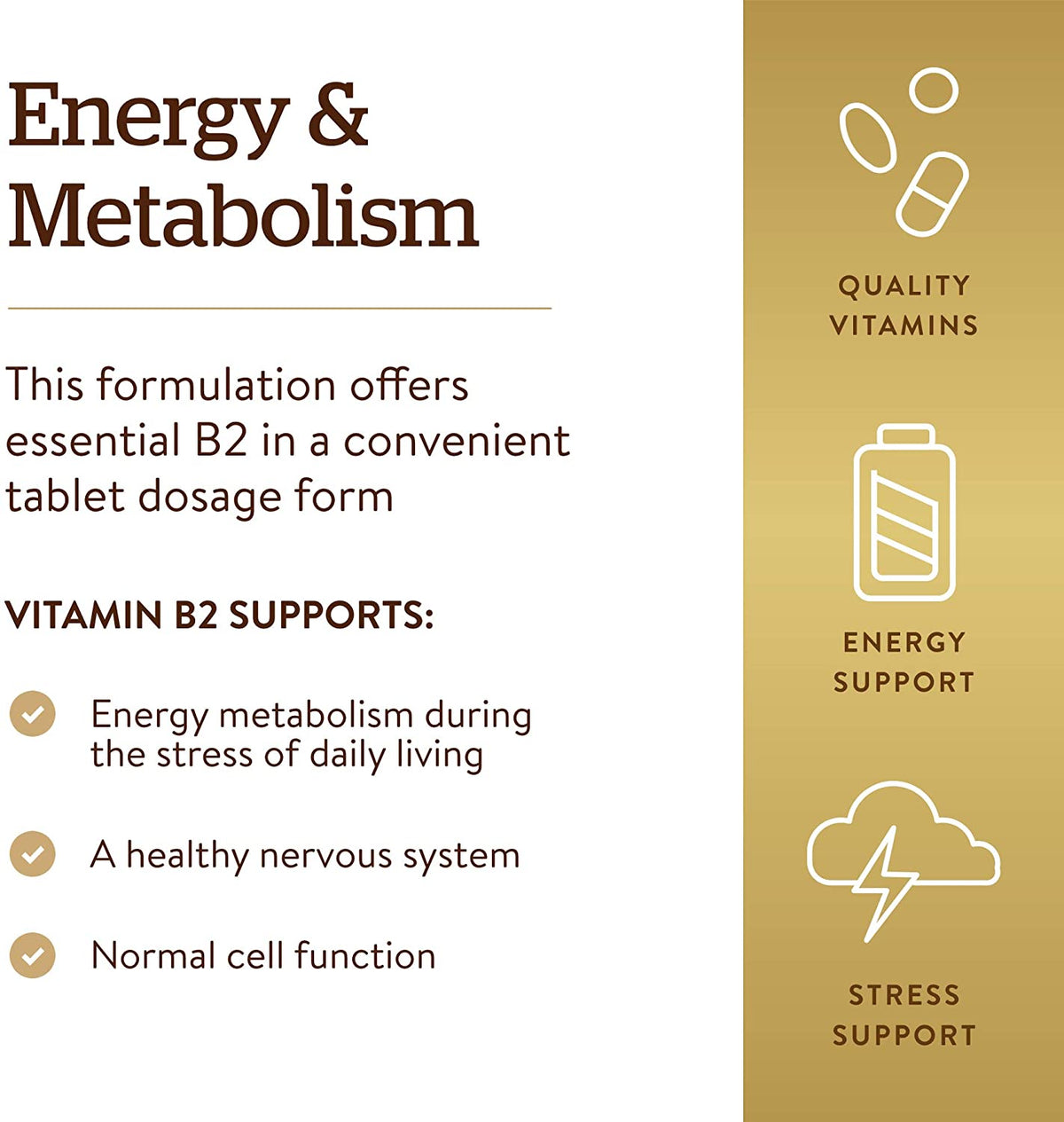 Solgar Vitamin B2 Riboflavin, 50 mg, 100 Tablets