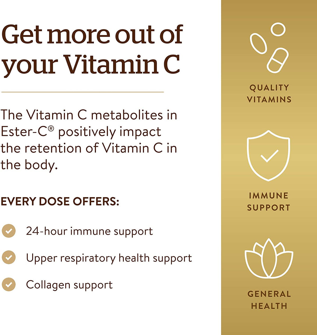 Solgar Ester-C Plus 1000 mg Vitamin C with Citrus Bioflavonoids - 100 Capsules - Gentle &amp; Non Acidic - 24-Hour Immune Support, Supports Upper Respiratory Health - Non-GMO, Gluten Free - 100 Servings